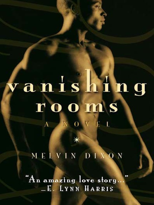 Title details for Vanishing Rooms by Melvin Dixon - Available